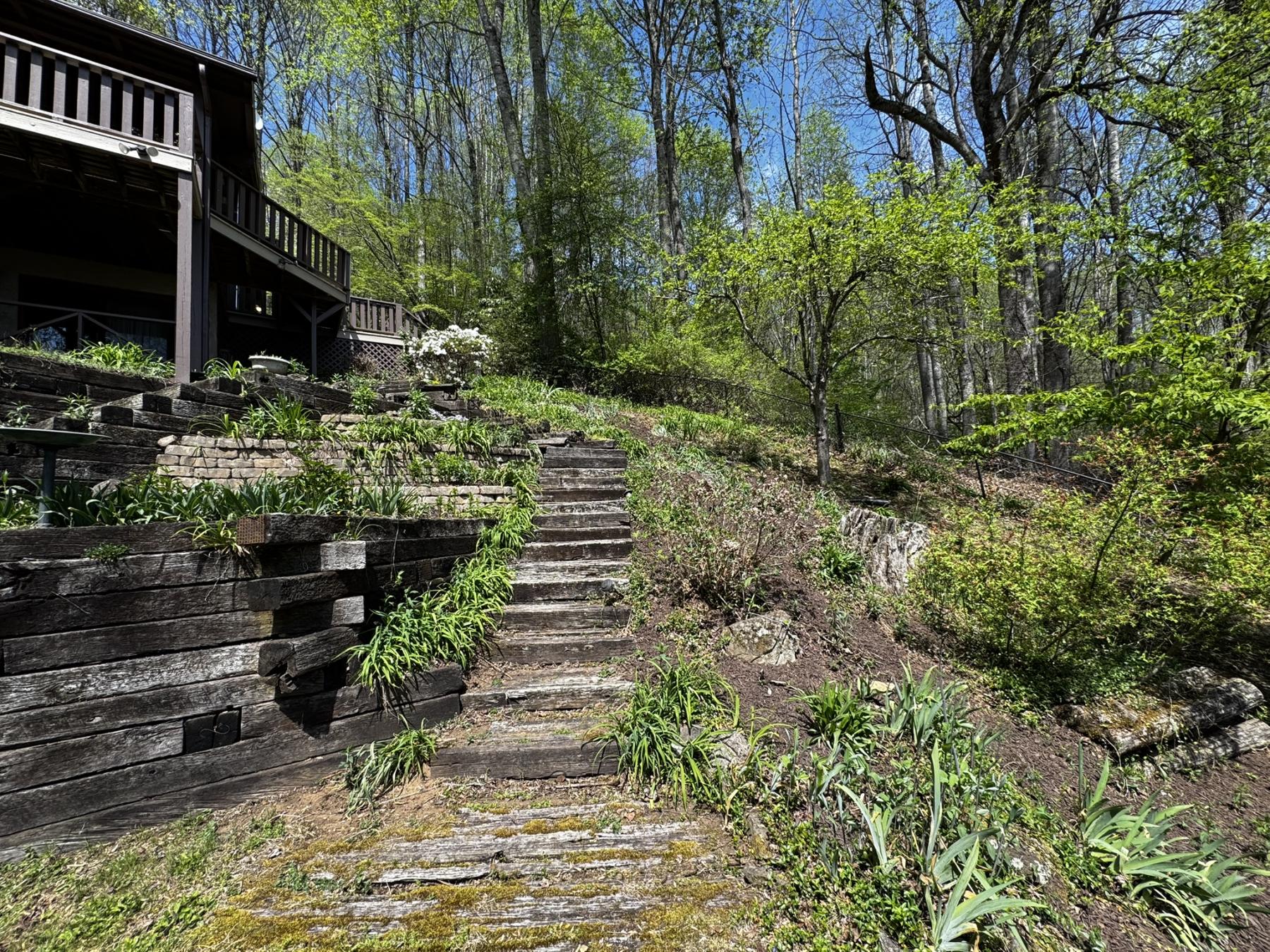 Waynesville Year Round Views - Image# 10