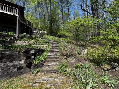 Waynesville Year Round Views - Image# 10