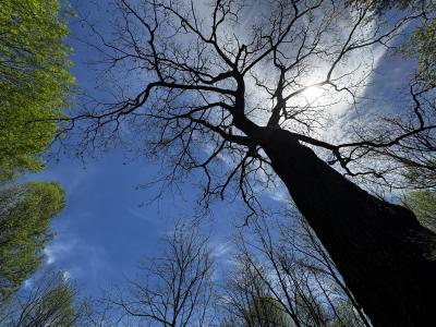 Waynesville Year Round Views - Image# 11