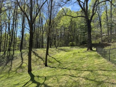 Waynesville Year Round Views - Image# 14