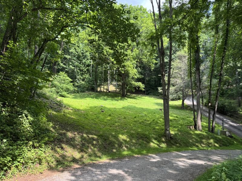 Waynesville LOT - Image# 1