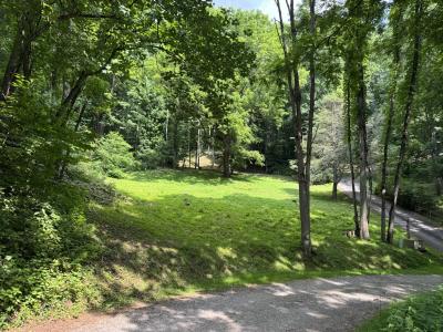 Waynesville LOT - Image# 1