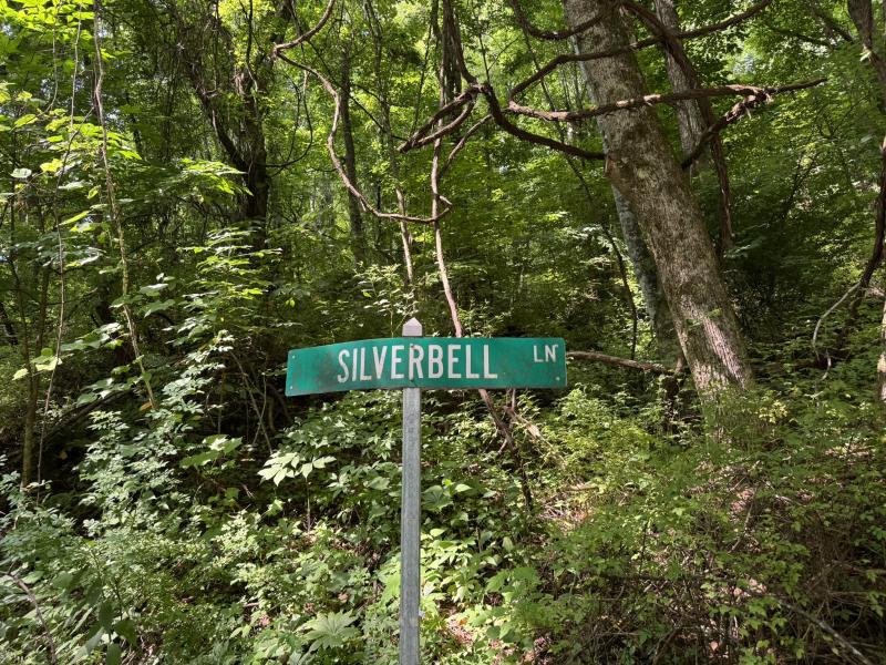 Waynesville LOT - Image# 2