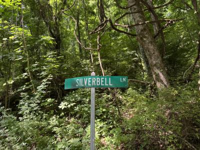 Waynesville LOT - Image# 2