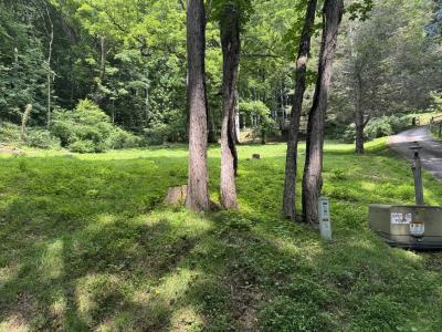 Waynesville LOT - Image# 3