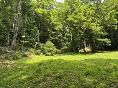 Waynesville LOT - Image# 4