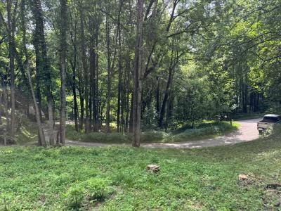 Waynesville LOT - Image# 5