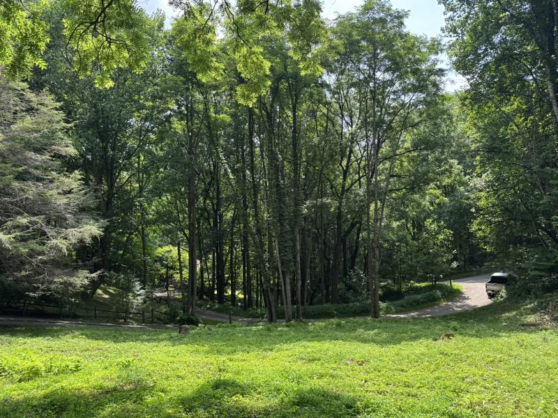 Waynesville LOT - Image# 6