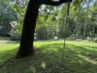 Waynesville LOT - Image# 8