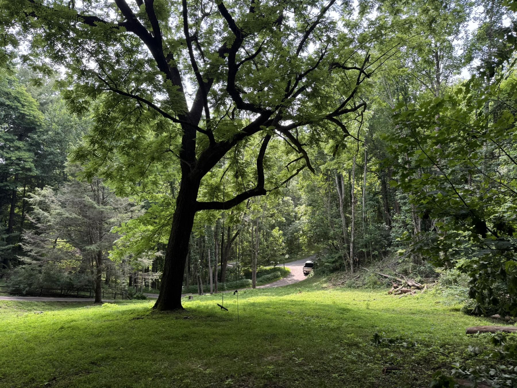 Waynesville LOT - Image# 10