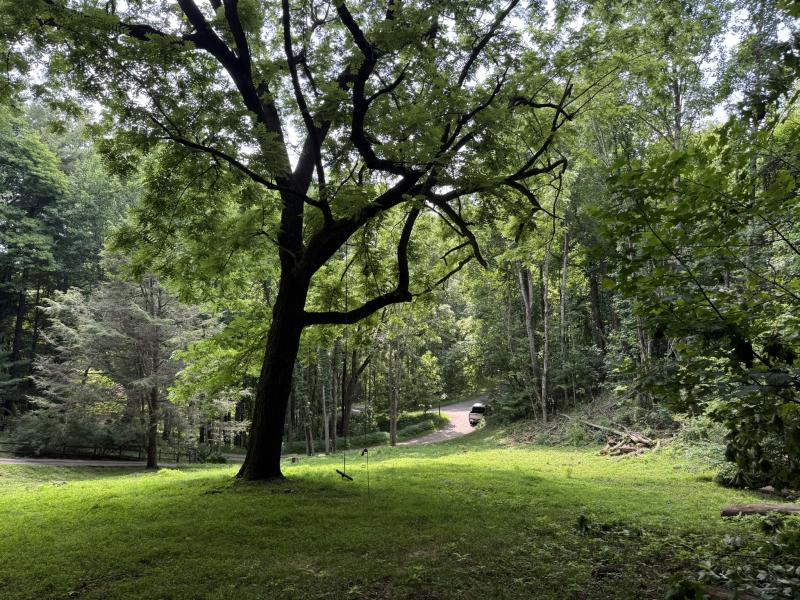 Waynesville LOT - Image# 10