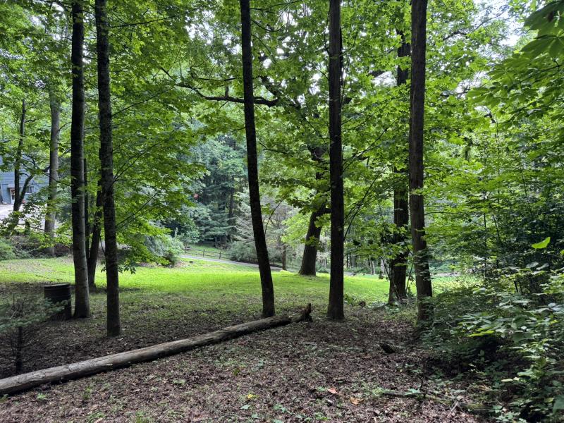 Waynesville LOT - Image# 12