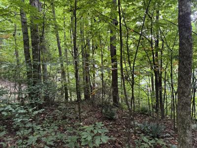 Waynesville LOT - Image# 15