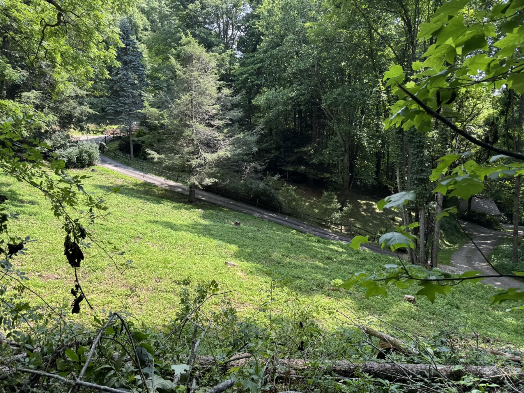 Waynesville LOT - Image# 19