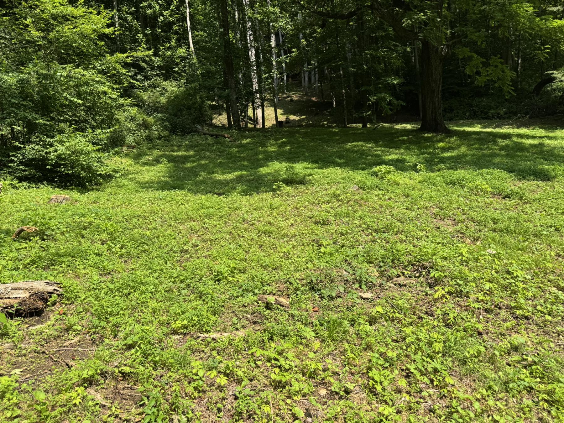 Waynesville LOT - Image# 20