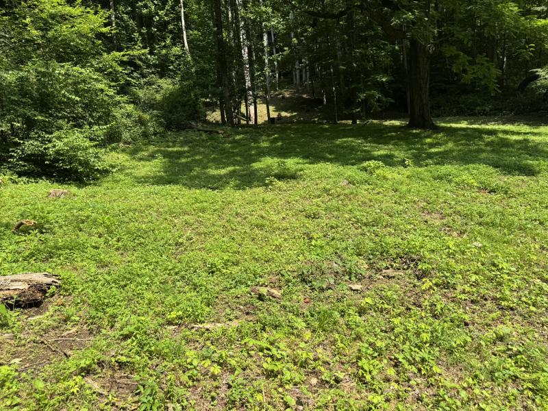 Waynesville LOT - Image# 20