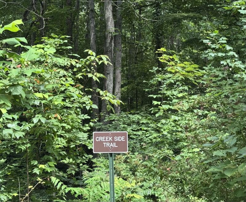 High Hickory Lot - Image# 10