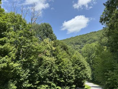 High Hickory Lot - Image# 15