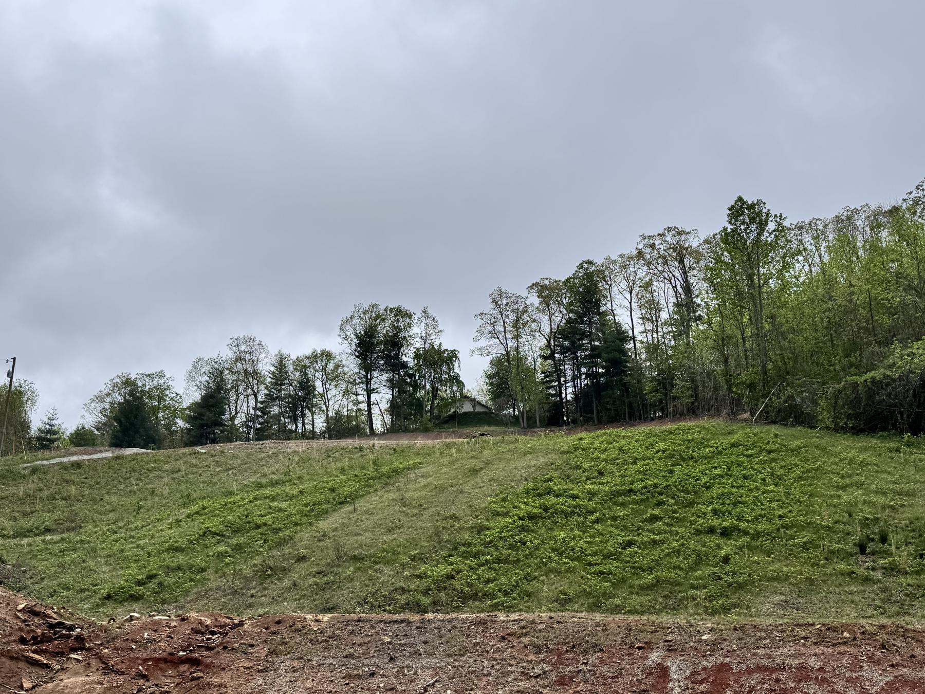 Flat Rock Estate land - Image# 25