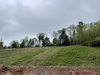 Flat Rock Estate land - Image# 25