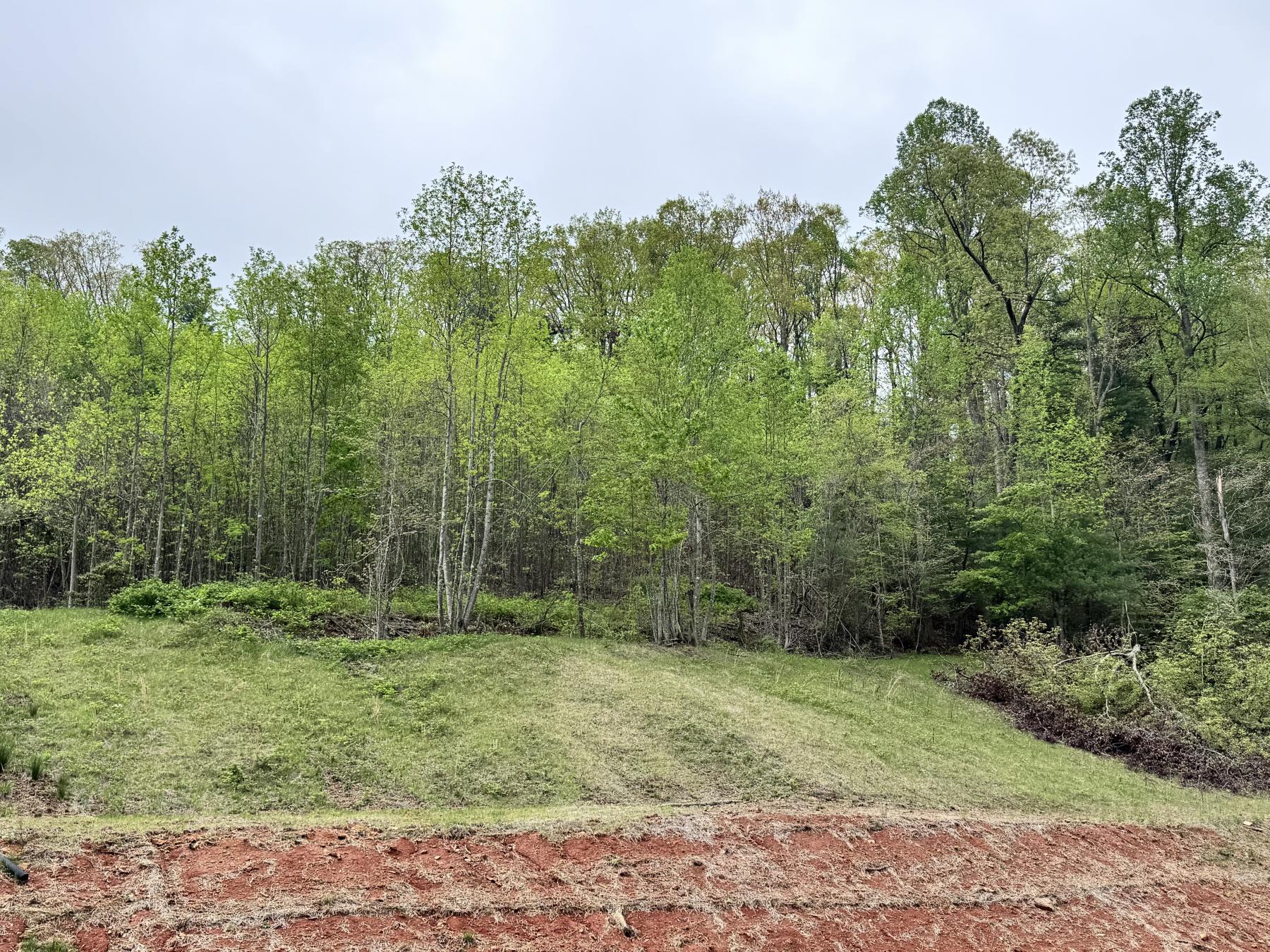 Flat Rock Estate land - Image# 23