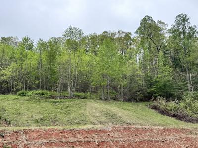 Flat Rock Estate land - Image# 23