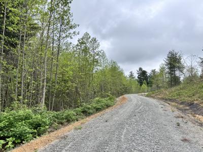 Flat Rock Estate land - Image# 21