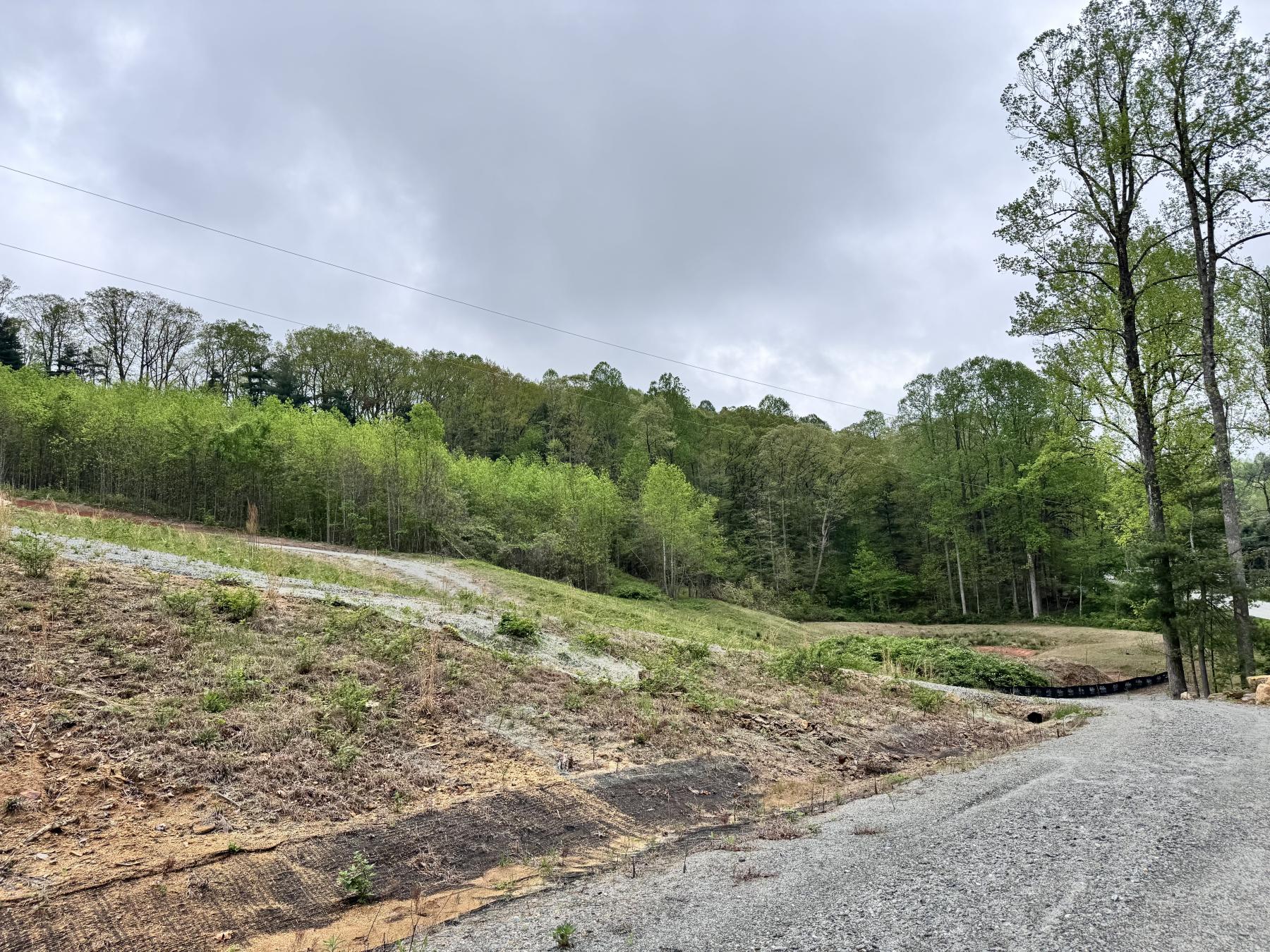 Flat Rock Estate land - Image# 20