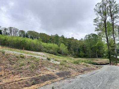 Flat Rock Estate land - Image# 20