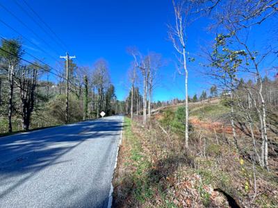 Flat Rock Estate land - Image# 4