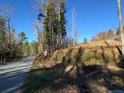 Flat Rock Estate land - Image# 6