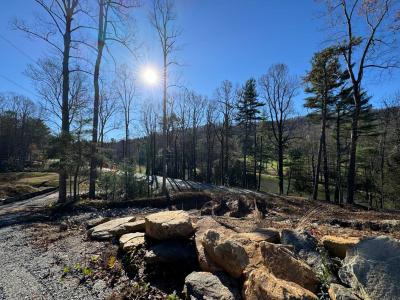 Flat Rock Estate land - Image# 10