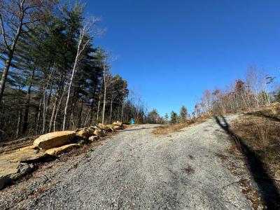 Flat Rock Estate land - Image# 11