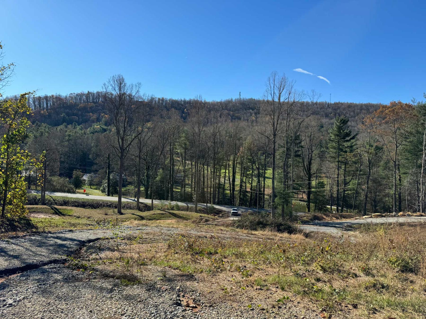 Flat Rock Estate land - Image# 14