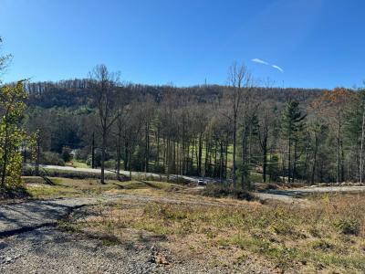 Flat Rock Estate land - Image# 14