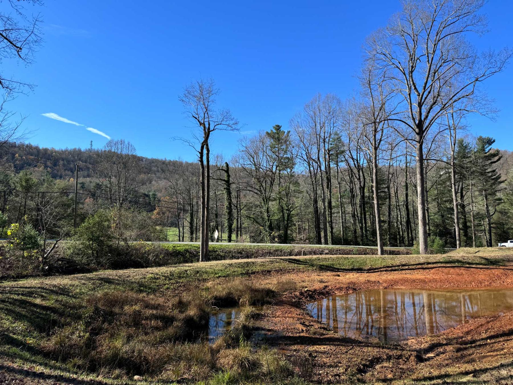 Flat Rock Estate land - Image# 16