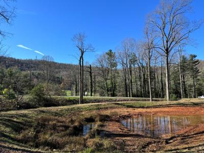 Flat Rock Estate land - Image# 16