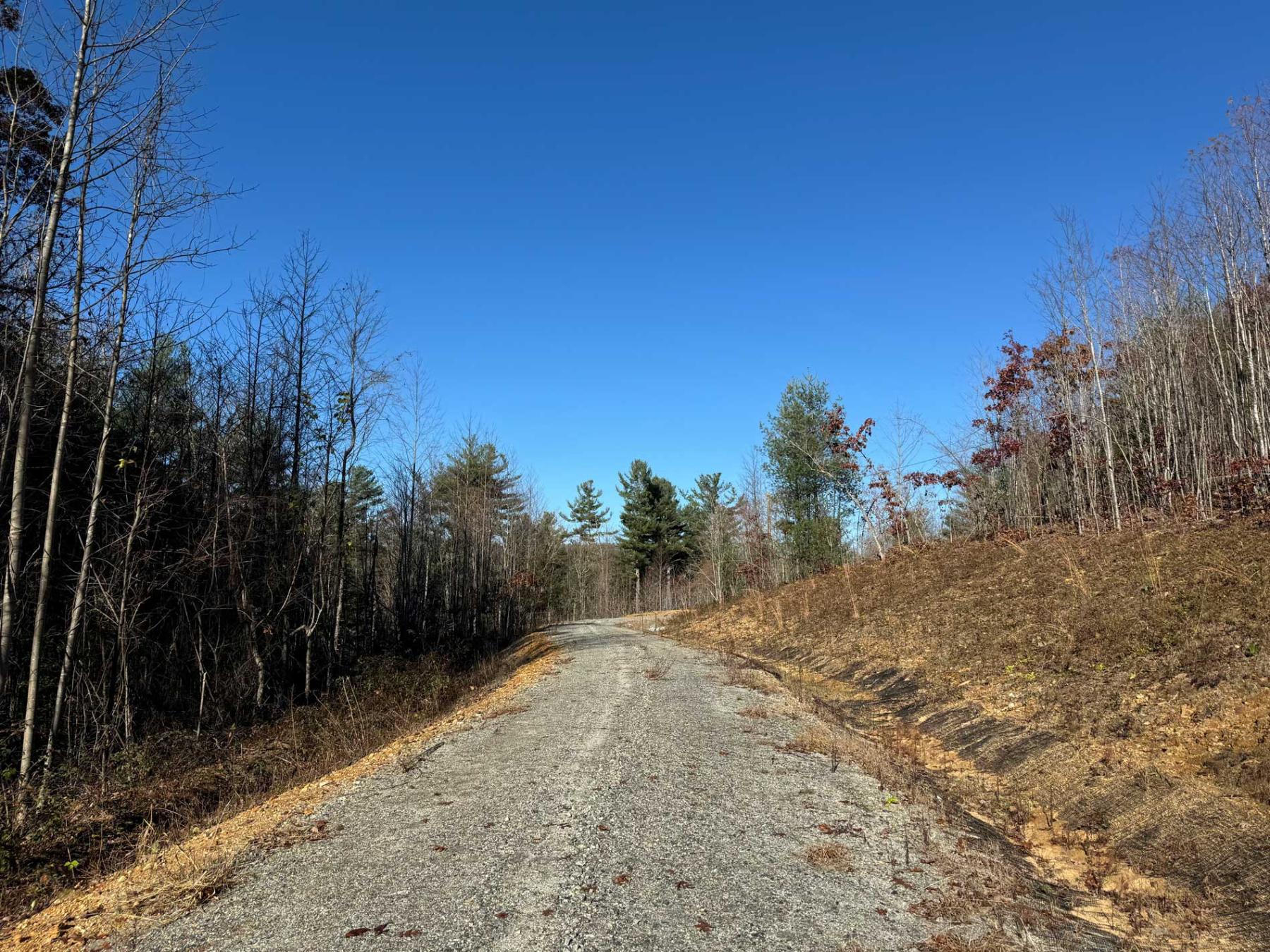 Flat Rock Estate land - Image# 17