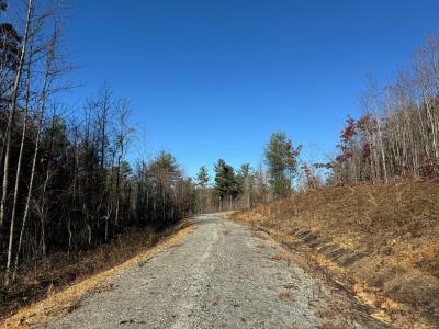 Flat Rock Estate land - Image# 17