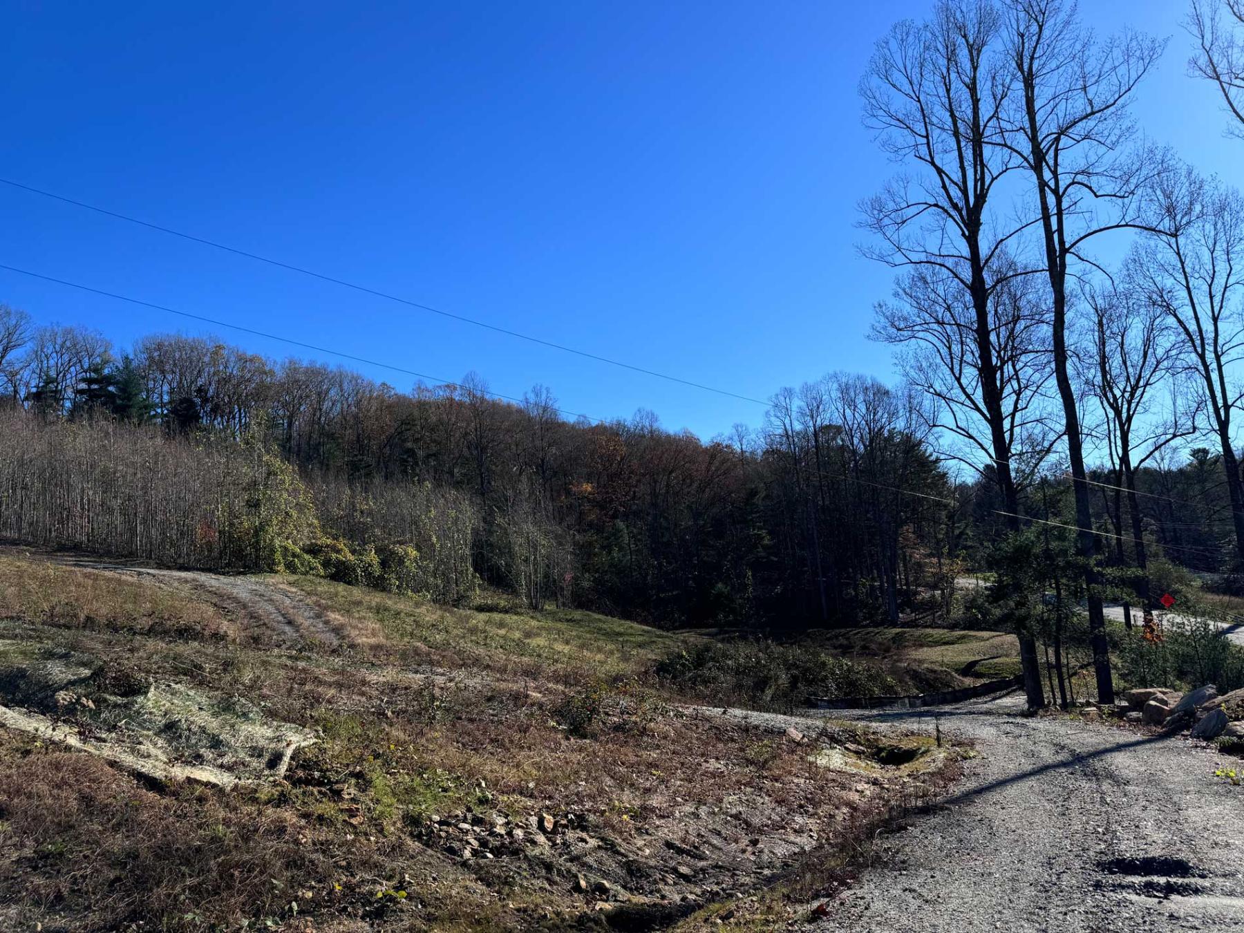 Flat Rock Estate land - Image# 18