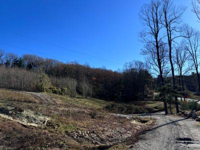 Flat Rock Estate land - Image# 18