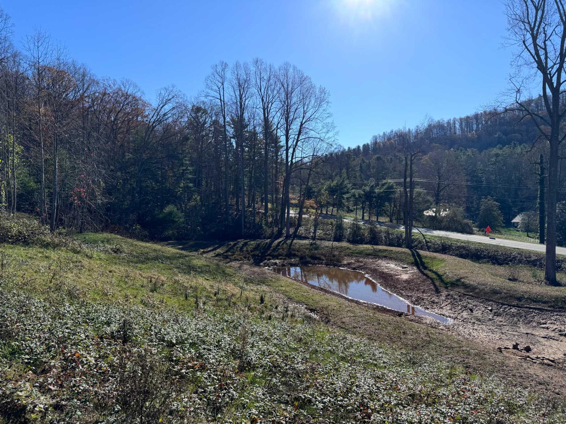 Flat Rock Estate land - Image# 19