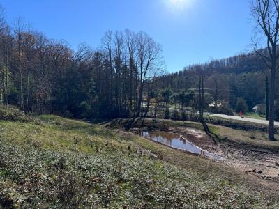 Flat Rock Estate land - Image# 19