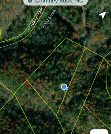 Peaks at Lake Lure Lot 44 - Image# 14