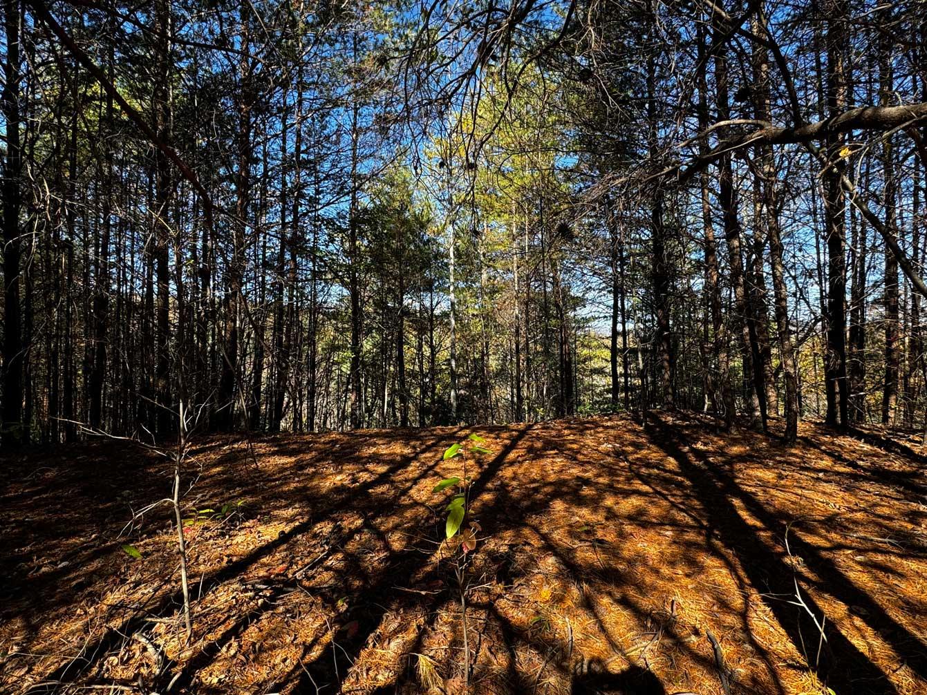 Peaks at Lake Lure Lot 44 - Image# 7