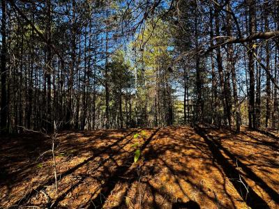 Peaks at Lake Lure Lot 44 - Image# 7