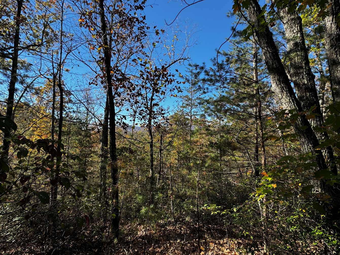 Peaks at Lake Lure Lot 44 - Image# 8