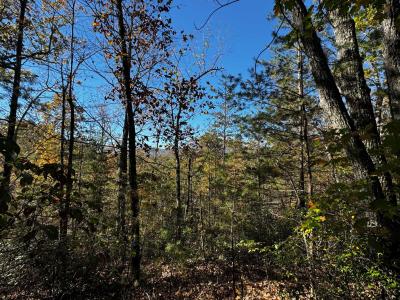 Peaks at Lake Lure Lot 44 - Image# 8