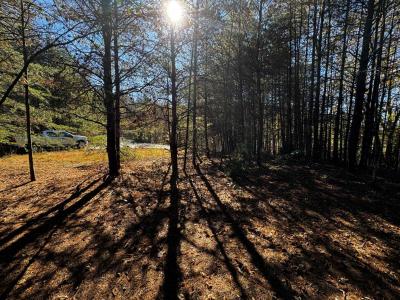 Peaks at Lake Lure Lot 44 - Image# 9