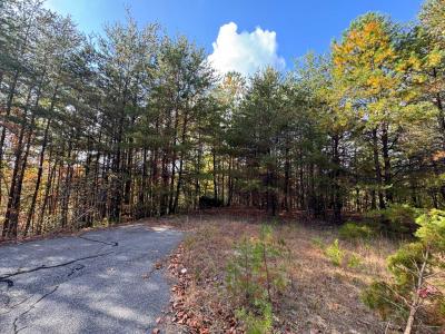 Peaks at Lake Lure Lot 44 - Image# 10